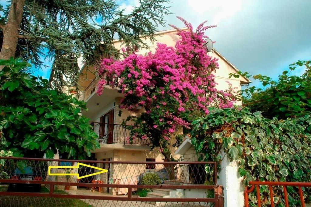 Apartment Ribica Slatine Εξωτερικό φωτογραφία