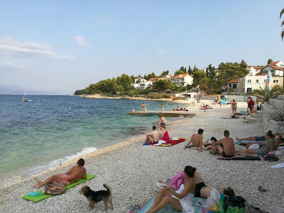 Apartment Ribica Slatine Εξωτερικό φωτογραφία